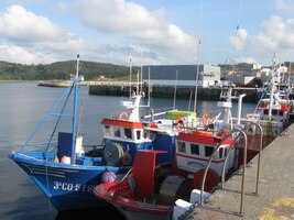 Čilý ruch tady panoval všude