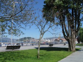 i na stinných cestách příbřežního parku Alameda