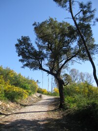 Začíná poslední portugalský den