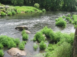 přes hory, lesy a řeky