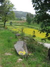 "Follow yellow arrow" - zahni doprava