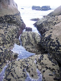 až z dalekého Jeruzaléma