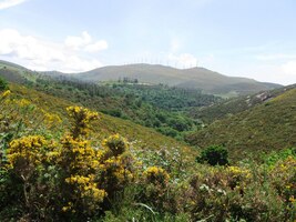 do místních luzných hor