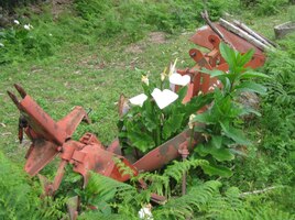 a nic jim v tom nezabrání