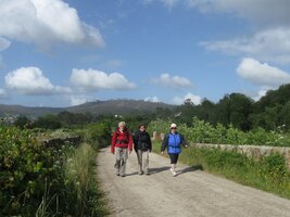 a vše kolem zase vonělo květy