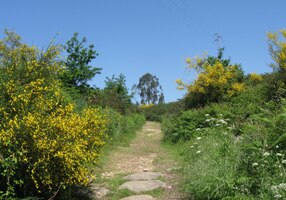 Byly stejně krásné na cestách