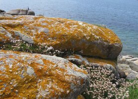 a odporuje tím názvu zdejšího pobřeží