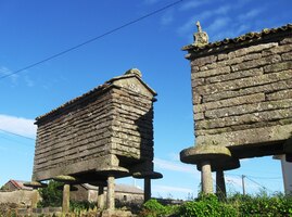 a takové množství galicijských "horeos",