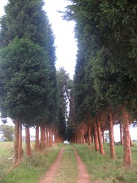 ale večerní iluminace je neměnná a nenapodobitelná