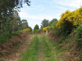 Pak už se ale napojujeme na poutní cestu