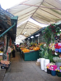 plnou ovoce, zeleniny a květin,