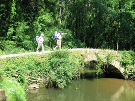 Tak tedy vpřed antika neantika!