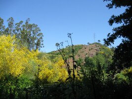 a jdeme vzhůru městem ... do hory