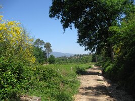 I ty nejobyčejnější cesty tu byly nádherné