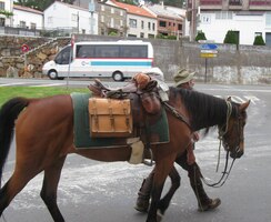 Ráno jsme potkali poutníka-kovboje