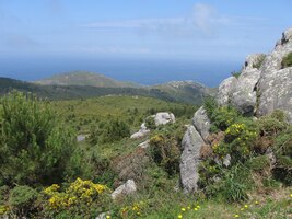 Nahoře přibývá skal