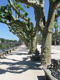 po nábřeží řeky Sar