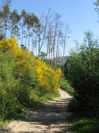 většinou však obyčejná a Čechám docela podobná