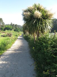 Galicie je místy exotická,