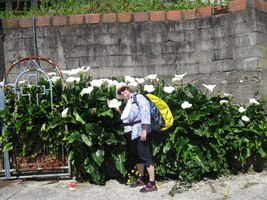 Bělostné kaly se hrnou na světlo boží