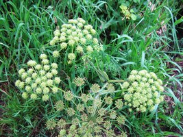 a louky jsou nacucané vodou