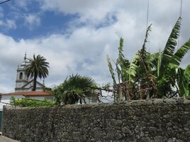 a neskromně obklopen palmami ze všech stran
