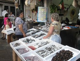 a litovali, že v Praze nemáme takovou nabídku ryb