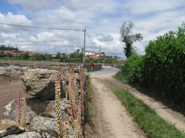 Všude to květy jen voní