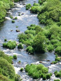 s průzračnou vodou,