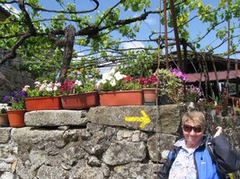 V Čechách skončily volby a také tady ukazuje šipka doprava