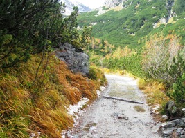 Znovu se objevily barvy podzimu