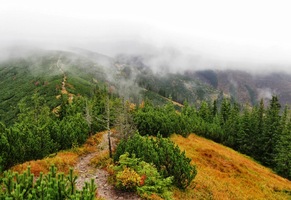 Shora to doplňují šedé cáry mlhy.