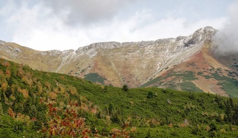 Bělejší kámen, zlatavější traviny