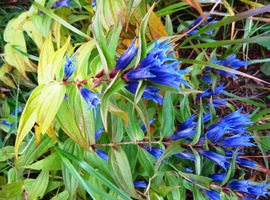 Ale ještě dost jí tady zůstalo