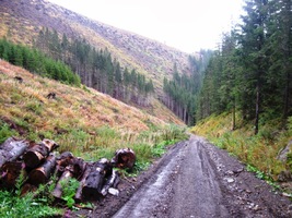 a deštěm rozbředlými cestami