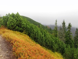 Na kumstátském sedle uhýbáme z hřebene