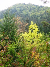 Výstup tam není obvykle problémem,