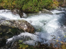 a jeho běloba je ještě bělejší