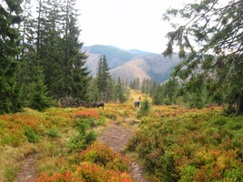 ale hory hýří barvami