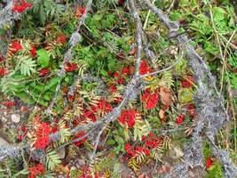 rozloučit se s krásou hor,