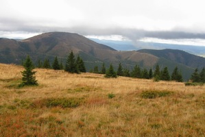 a nebe jim dělá ocelově šedou dekoraci