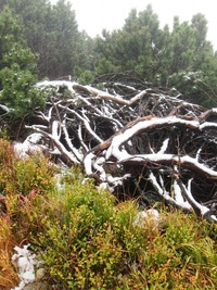 a krása hor se skryla do mlhy