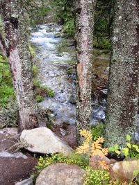 U Šalvějového pramene