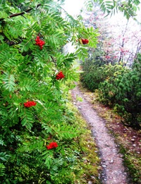 a pokračujeme na Bocianské sedlo