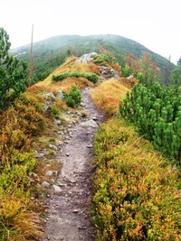 Chodníčky vedou po hřebeni