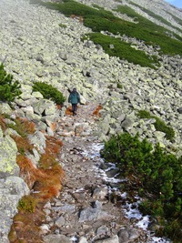 Začíná cesta kamennými poli