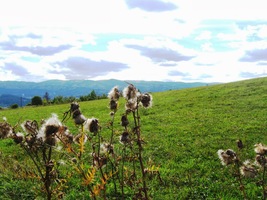 i na Rudohoří dole za Hronem