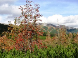 ale odpoledne je tu všechno jiné