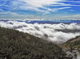 z jehož dna jsme sem lanovkou vystoupali