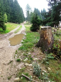 Ve čtvrtek začínáme v Bobrovecké Vápenici